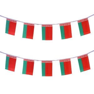 Belarus Bunting