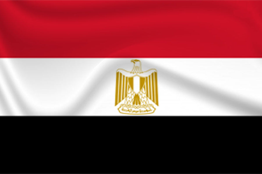 Buy Egypt Flag