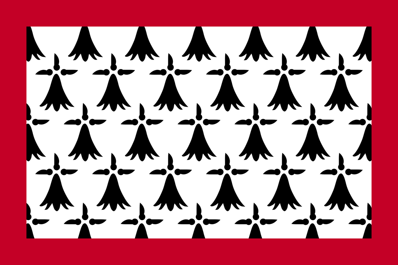 Limousin Flag to buy