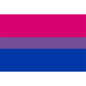 Bi-Pride Bisexual Flag to buy online