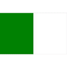 Fermanagh / Limerick Flag (Green and White)