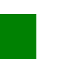 Fermanagh / Limerick Flag (Green and White)