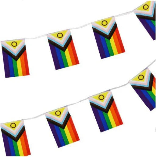 Intersex Progress Pride Bunting to buy online