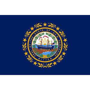 New Hampshire Flag