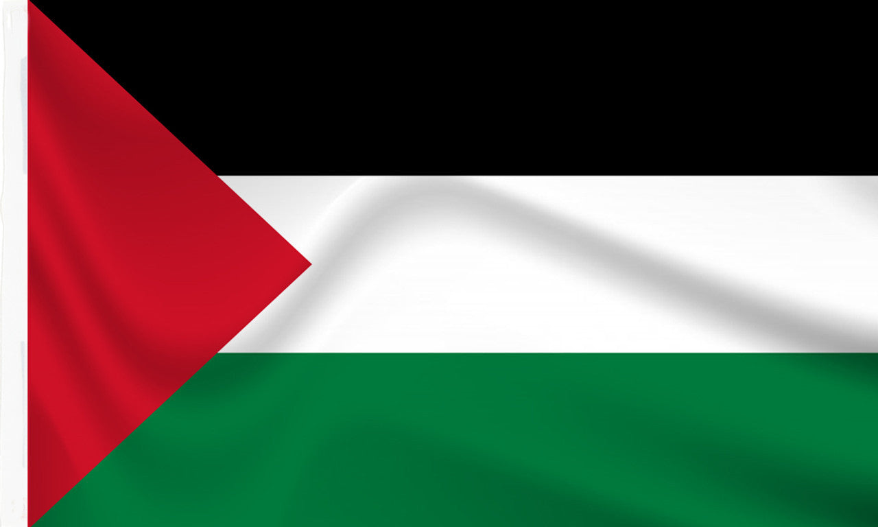 Palestine sleeved flag to buy online