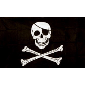 Pirate Skull & Crossbones Flag