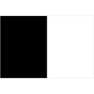 Sligo Flag (Black and White)