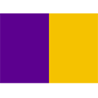 Wexford Flag (Purple and Gold)