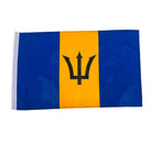 Flag with blue and yellow horizontal stripes and a black trident symbol in the center on a white background