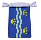 Cambridge Blue flag with yellow emblem and white ribbon