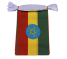 Flag with a blue circle and yellow star on a red, yellow, and green background. Ethiopia flag bunting.