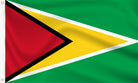 Buy Guyana Flag