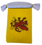 Somerset Flag. Yellow flag with red dragon emblem on a yellow background