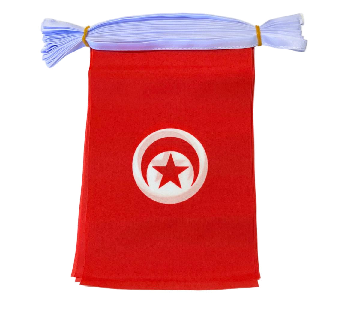 Tunisia Flag Bunting 
