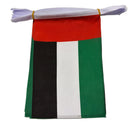 UAE Bunting