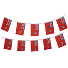 Bermuda Bunting