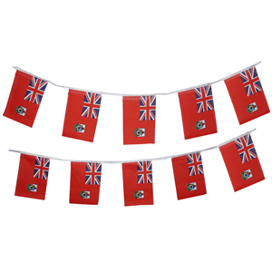 Bermuda Bunting