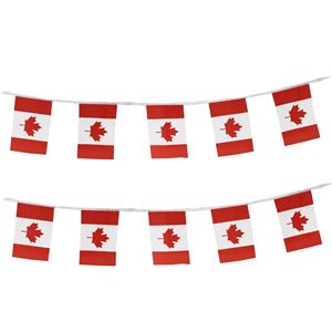 Canada Bunting