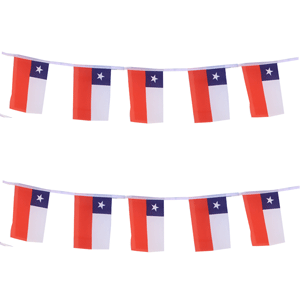 Chile Bunting