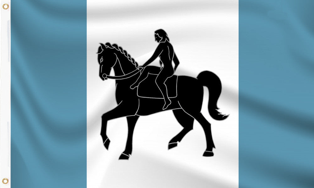 Coventry City Football Bunting - 10 Metres Sky Blue And White Fabric Flags