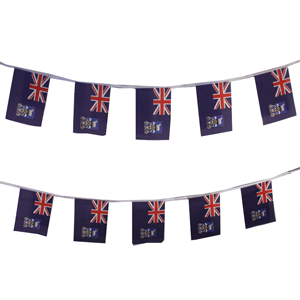 Falkland Islands Bunting