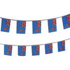 Fiji Bunting