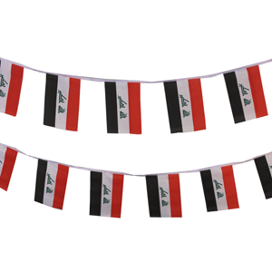 Iraq Bunting