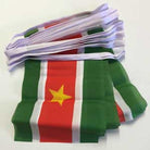 Suriname Bunting