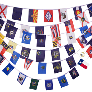 American States Bunting